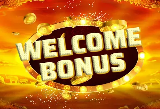 Slotbox new player bonus